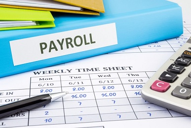 Introduction to Payroll Knowledge